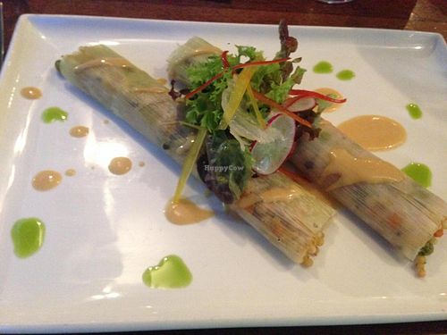 Leek cannelloni with curried orange israeli cous cous and miso dressing. at Vivo Bar and Grill in Palm Cove