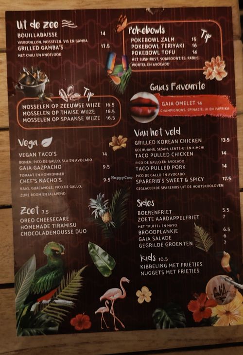  at Gaia in Middelburg