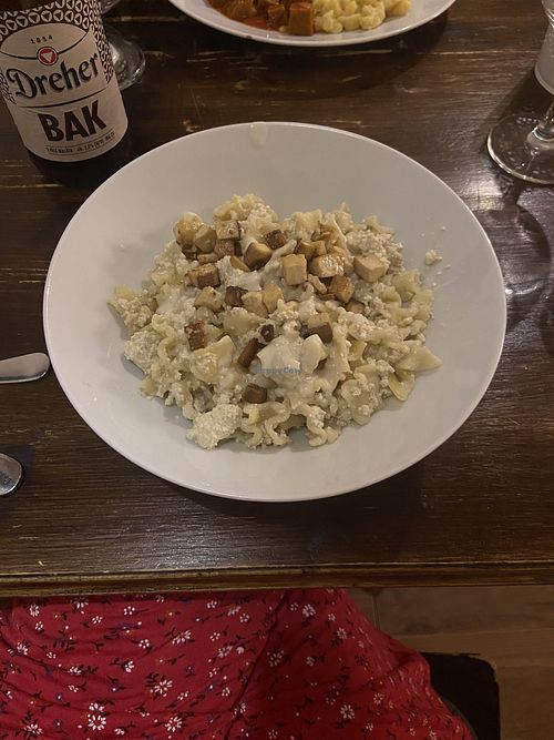 Cottage cheese pasta   at Kozmosz Vegan Etterem in Budapest