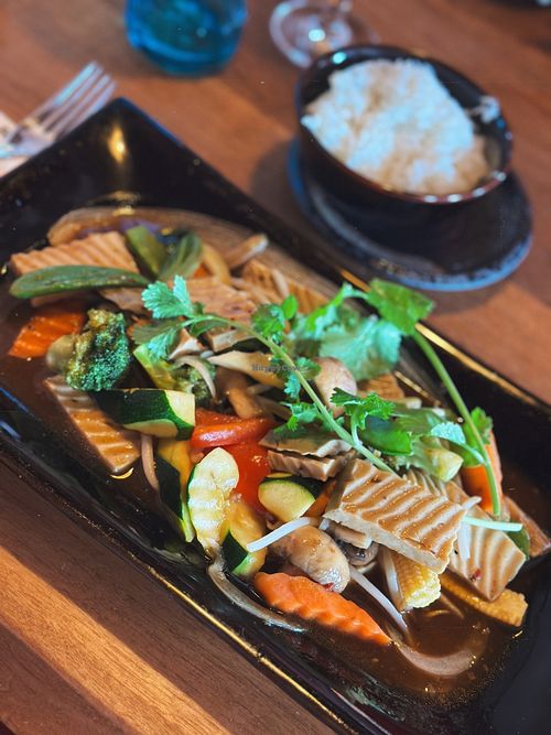 Veganes „Fleisch“ mit Gemüse und Reis  at Sen Restaurant Waldshut-Tiengen in Baden-württemberg