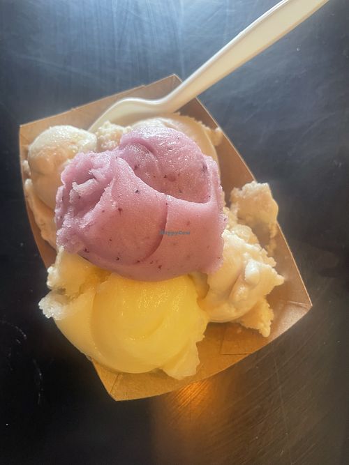   at Owowcow Creamery in Ottsville