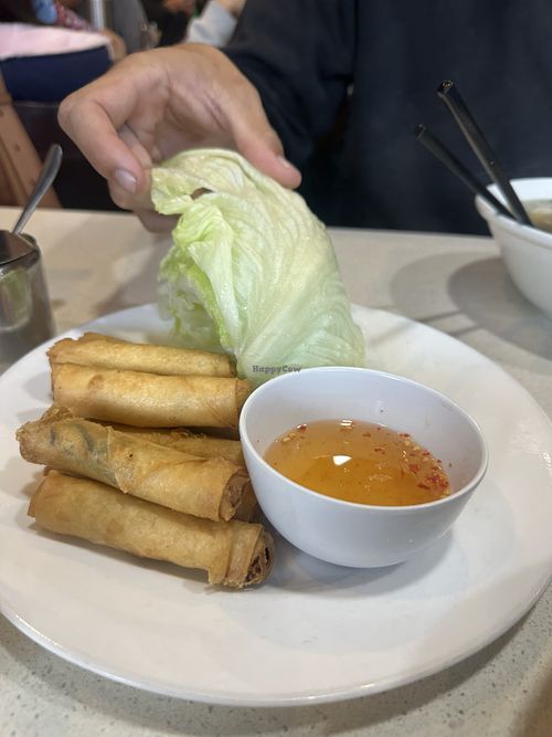 Crispy spring rolls   at Pho Hung Vuong Saigon in Footscray