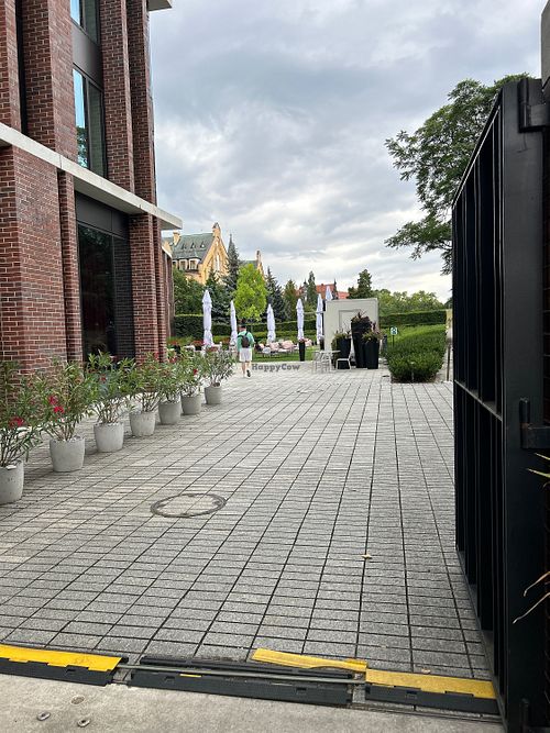 Outdoor   at The Bridge Summer Bar  in Wroclaw
