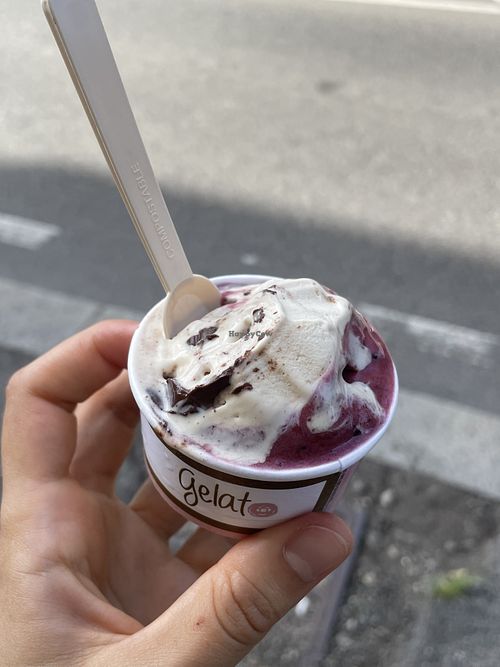 Cremino and grapes  at Gelateria Dolomiti in Pavia