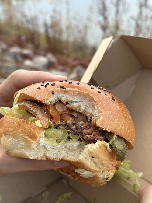 Vegan burger  at Platni Bistro in Szentendre