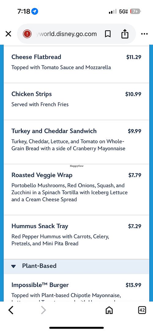 Waterpark with vegan quick service options  at Lottawatta Lodge in Bay Lake