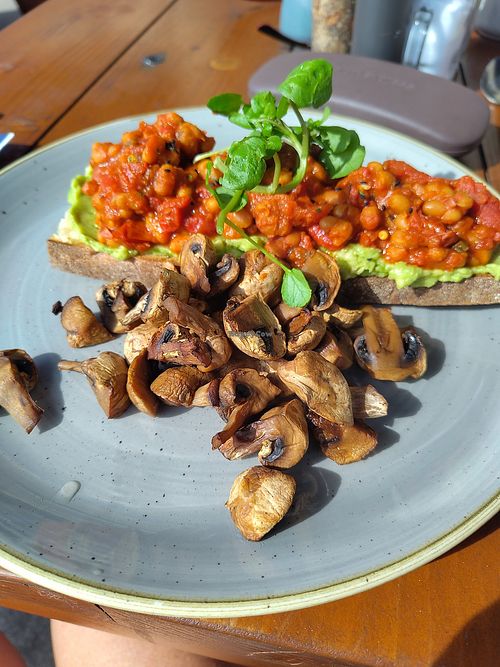  at The Harbour Lights in Scotland