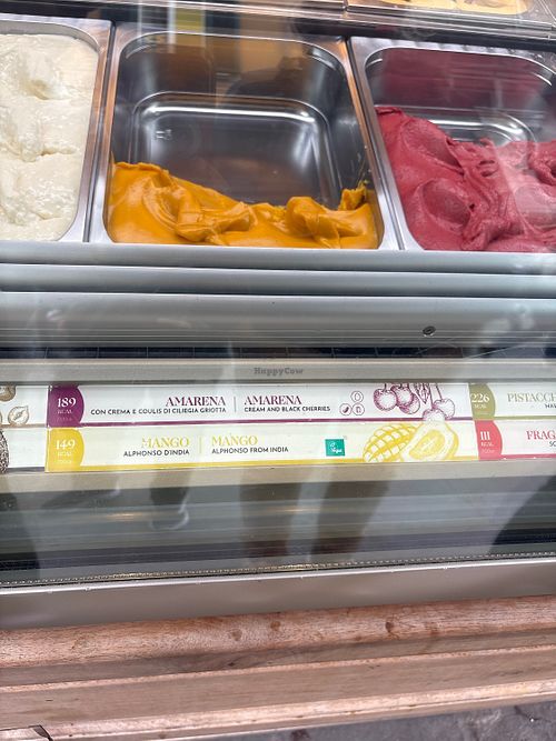   at Amorino Gelato - Pisa in Pisa