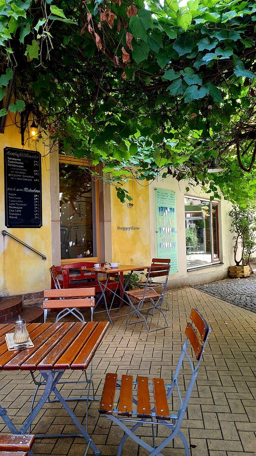 The outdoor seating at Hofcafé im Hof des Lichts in Sachsen