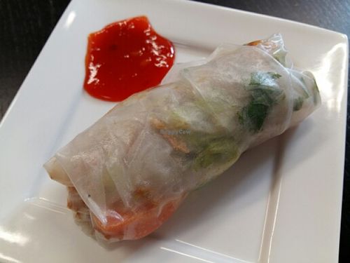 @ Veggiesaurus at Veggiesaurus in The Hague