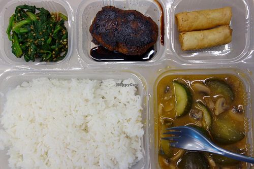 A vegan food box: Vegan chicken teriyaki steak / Spicy cucumber / Carrot spring rolls / Spinach with sesame dressing / Rice. at Veggiesaurus in The Hague