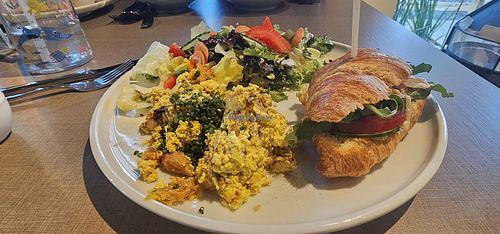  at Katzentempel - Heidelberg in Heidelberg