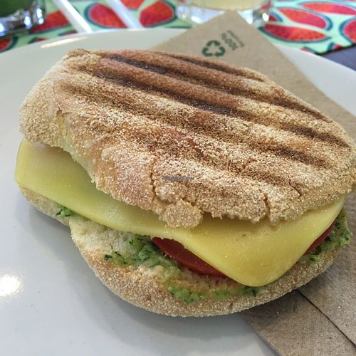 vegan panini  at Carrot Cake in Dusseldorf