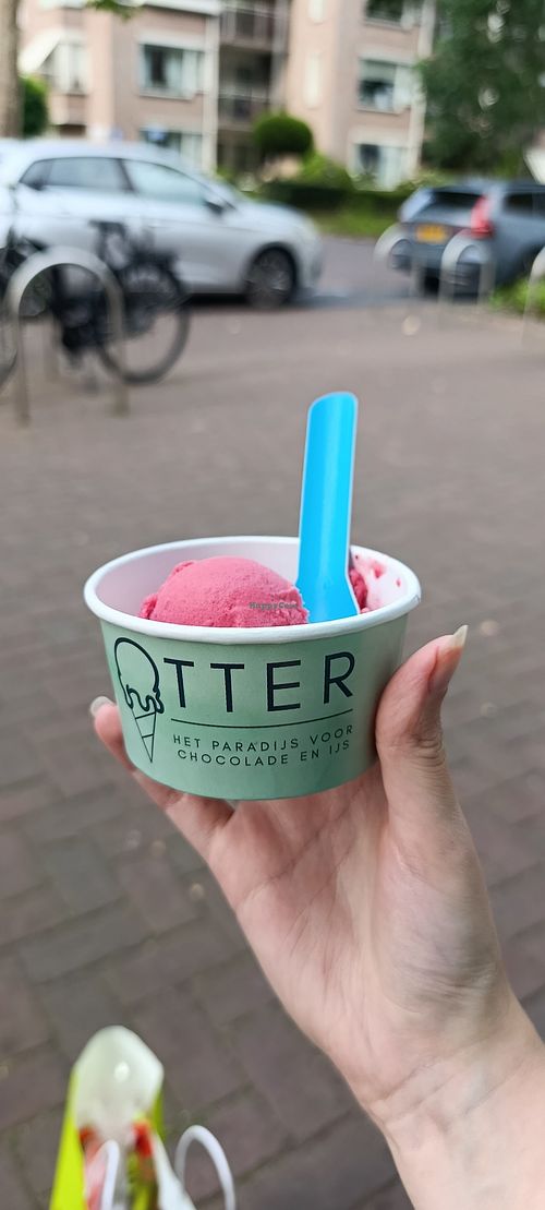 Vegan Cassis ijs 😍 niet normaal lekker! at Otter Ijs En Chocolade Nijverdal in Nijverdal