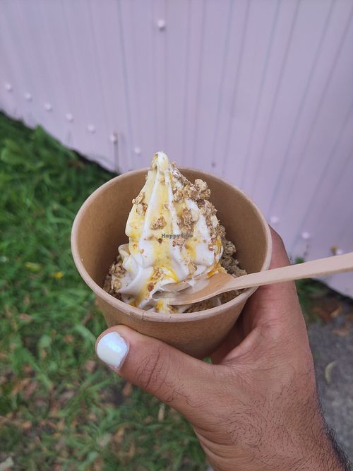 Tropical crunch cup at TwinFin Icecream  in Munich