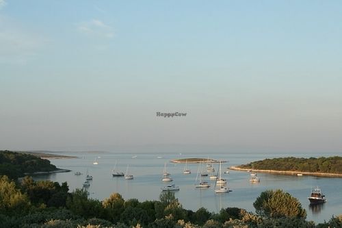 The Croatian Adriatic Sea is known for its cleanliness and stunning beauty.  at Pension Cherry Blossom in Liznjan