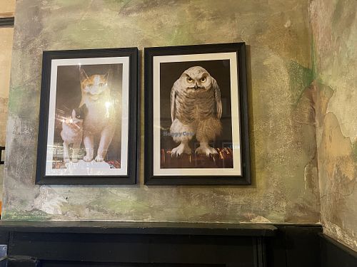   at Owl & Pussycat in London