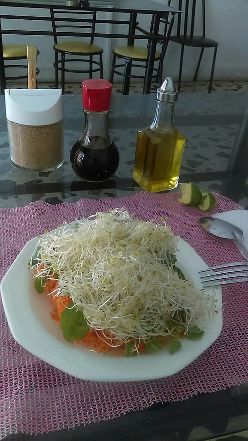 Entrada: ensalada at Comedor Vegetariano in Mexico City