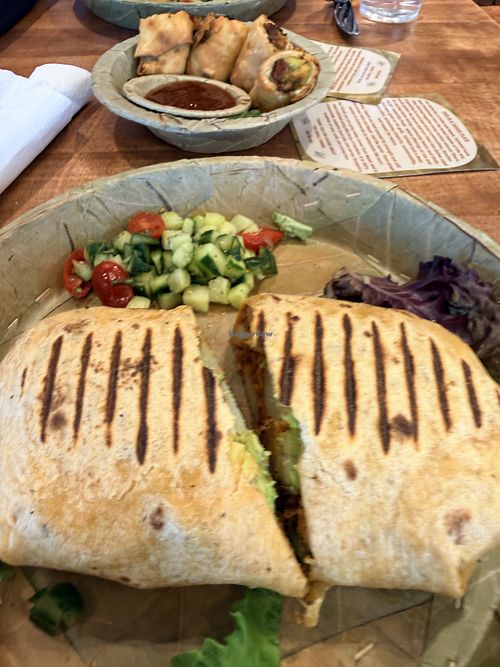 Vegan Crunchwrap and eggrolls were insanely delicious!   at Avocado Theory in Naperville