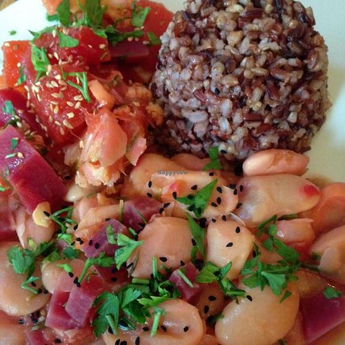 Vegan Special of the Day at Salvador Cafe in Tel Aviv