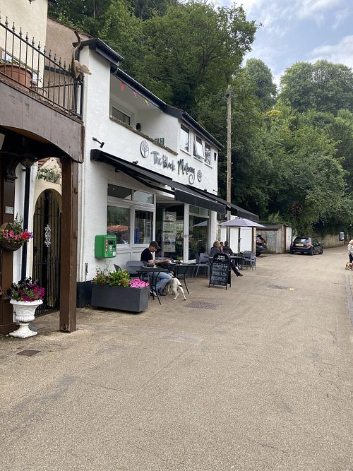 Front  at Black Mulberry  in Knaresborough