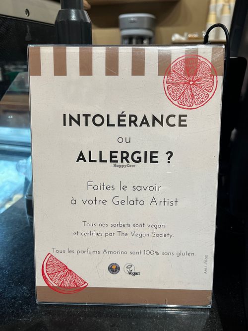 9 different flavors   at Amorino in Sete