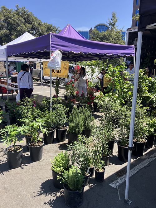 Just one of the vendors   at Farmer's Market in Cerritos