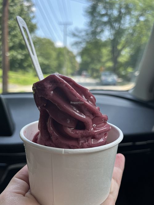 Blackberry basil soft serve   at Red Hound in Takoma Park