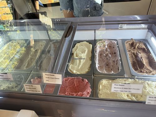 Flavor options as of 7/24/25  at Dee’s Trolley in Boise