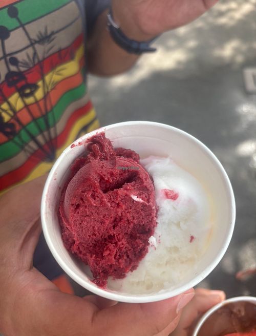   at Mano Eismanufaktur - Eisdiele in Schenna