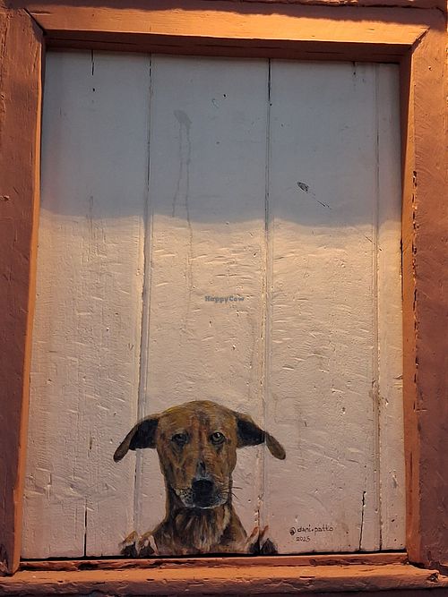  at Papadaria Caraíva  in Bahia