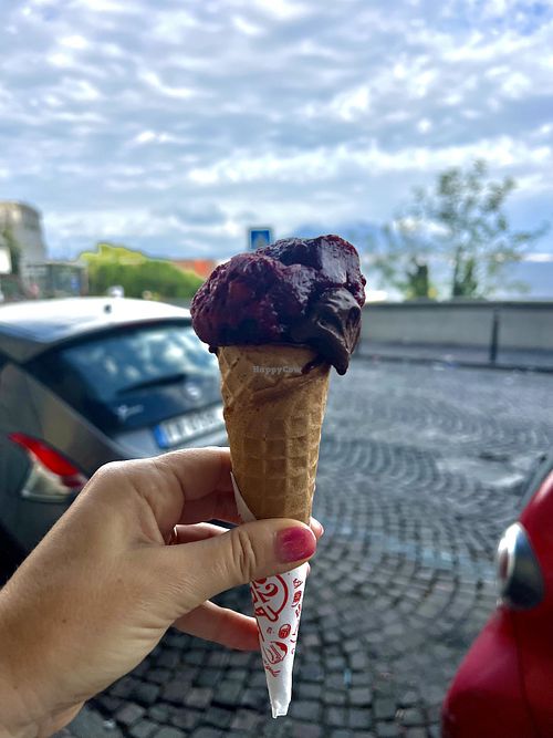 Dark chocolate and gelso (mulberry)  at A’ Gelateria in Campania