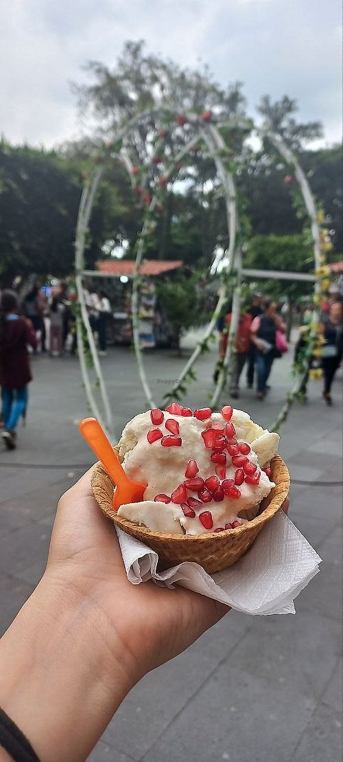 La nieve de nogada es una delicia 🫶🏻❤️ at Helados Macias in Puebla