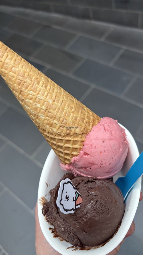 Chocolate and strawberry with waffle cone  at Suga Rays in Melbourne