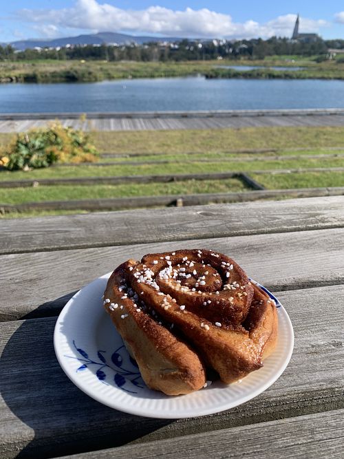   at Plantan Bístró in Reykjavik