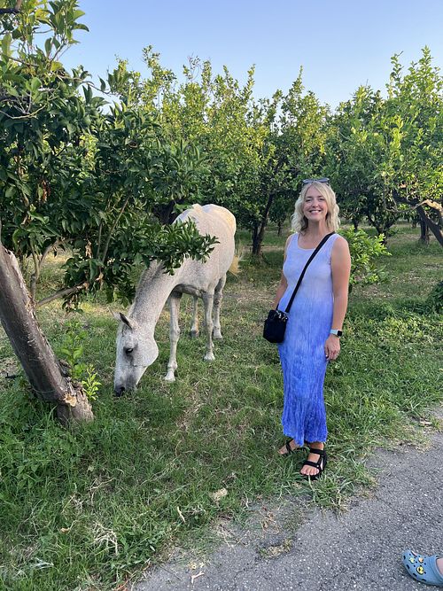 Citrus grove in the grounds   at B&B La Villa in Emilia-romagna