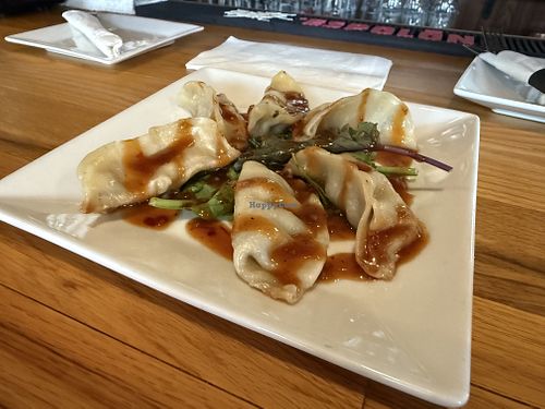 Vegan potstickers (tofu, portabella mushrooms, cabbage, carrots).  at Jamo's Pub in Lake George