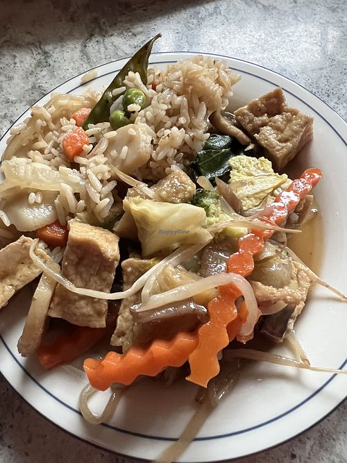 Vegan fried rice and drunken noodle   at Novi Siam Spicy in Novi