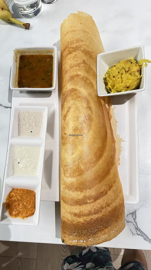 Dosa with Masala Potato  at VANAM in Schaumburg