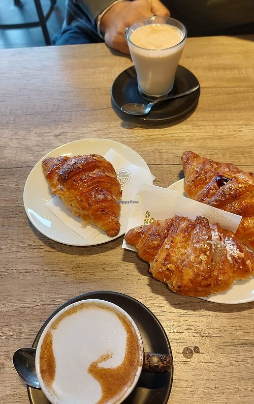  at Menchetti Calenzano in Toscana