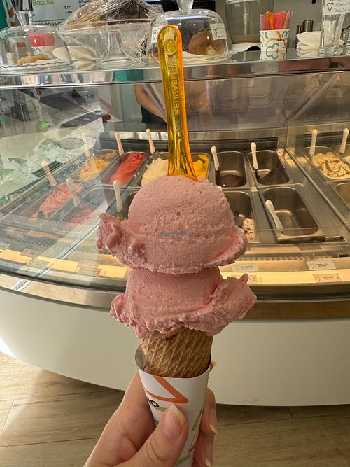 What 2 scoops look like when it's not 40°C! at Valentino Gelato - Ribera in Valencia