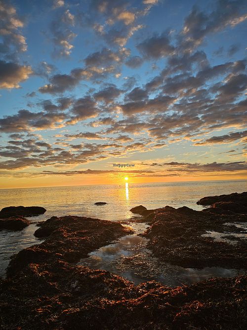  at Lea & Paul's Guesthouse in Grange