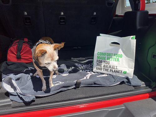 Takeaway Bag with Frijol Before We Devoured Lunch  at Veggie Grill in Mountain View