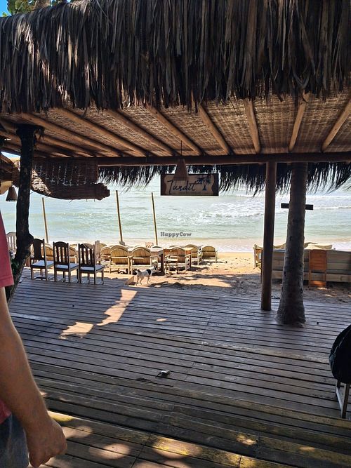  at Tunait Beach Club | Praia do Espelho in Bahia
