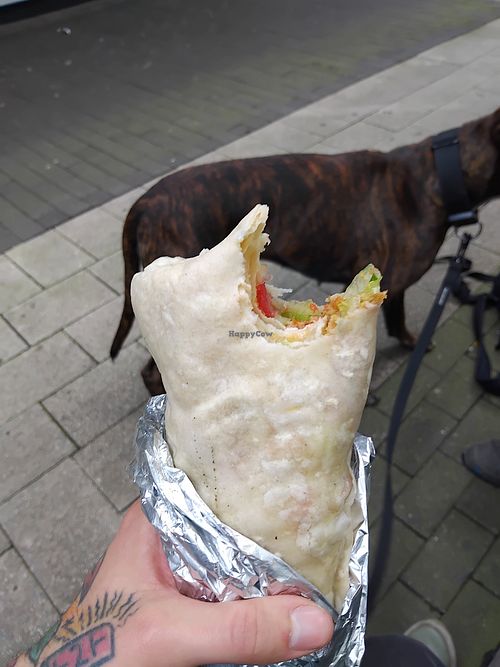 Falafeldürüm at Hero Döner in Schleswig-holstein