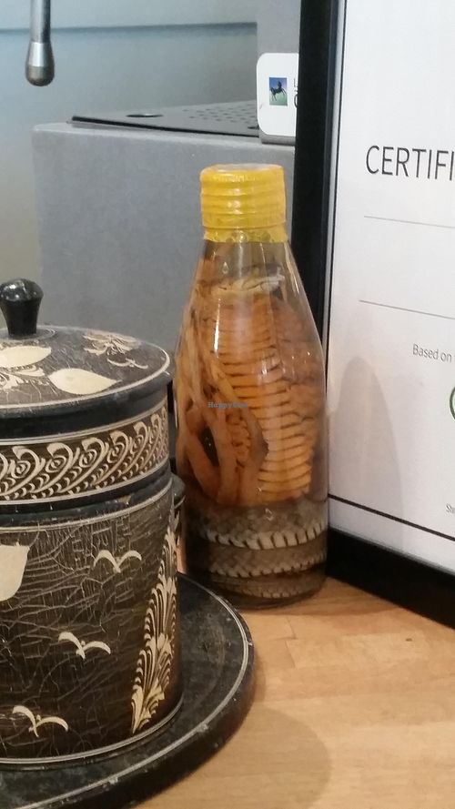 snake in whisky  at Blue Ginger in Birmingham