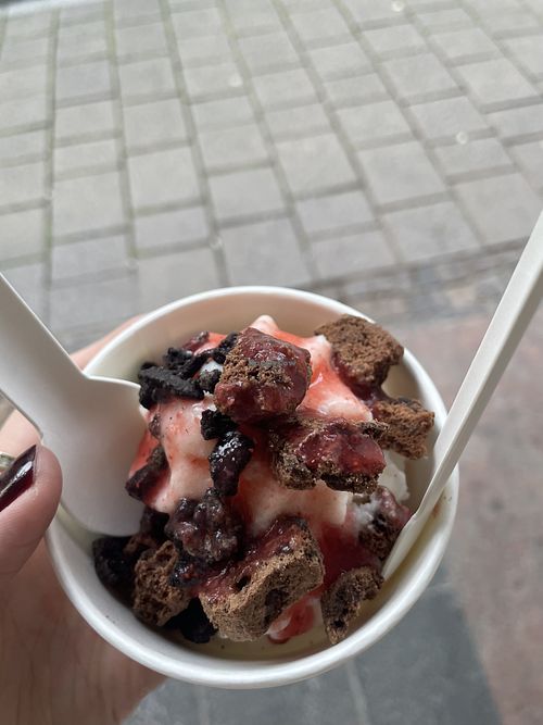 Vegan Frozen yogurt with Cookies , oreos and strawberry vegan.   at Zupreme Café in Hessen