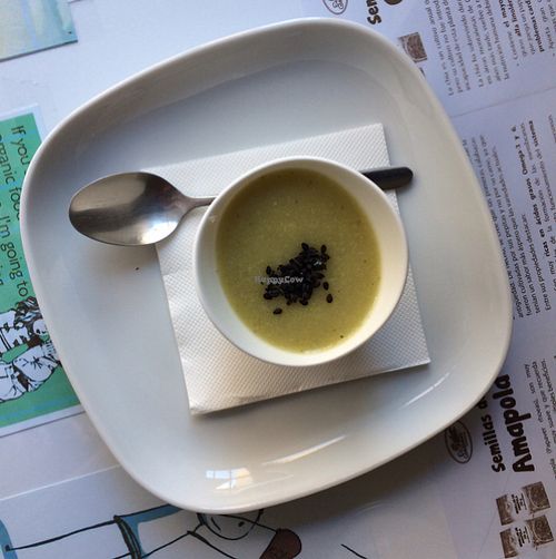 Starter: romanesco soup at Chirimoya Healthy Food Station in Fuengirola