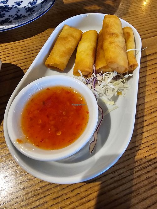 Vegetable spring rolls. at Zen Noodle Bar in Florida