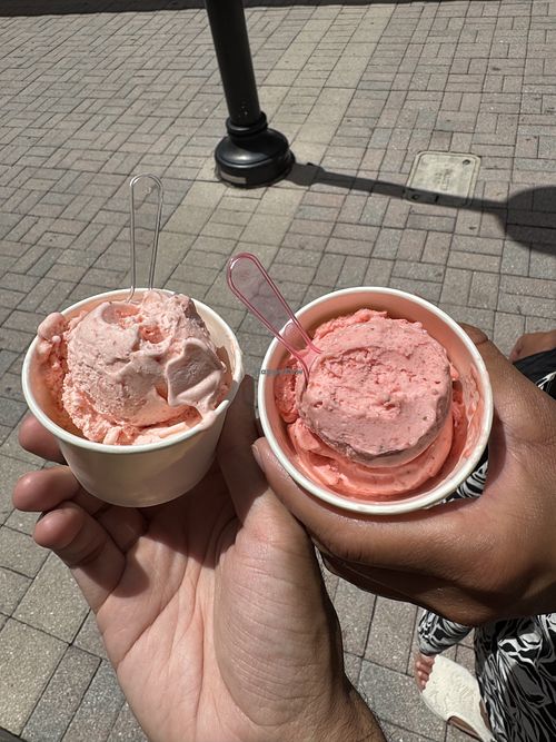 Strawberry and Berry Aloha vegan gelato  at Leo Gelato in Florida